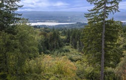 265 Talon Ct, Kalama, WA 98625