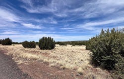 1985 Tee Street, White Mountain Lake, AZ 85912