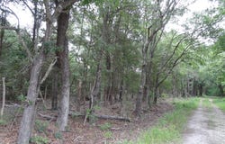 VZ CR 2908, Eustace, TX 75124