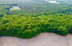 Tr 2 N Carolina 39 Highway, Zebulon, NC 27597