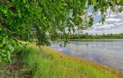 ON UNIVERSITY DR, Iron River, MI 49935