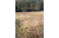 County Road 405, Buckholts, TX 76518