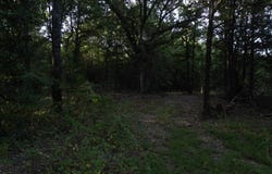 411418 E1920 Rd, Antlers Oklahoma, OK 74523