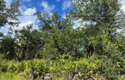 163 HARDEE WAY, ROTONDA WEST, FL 33947