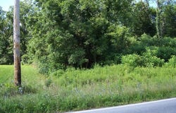 0008 LONG RUN Road, Mill Hall, PA 17751