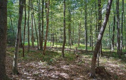 001 Trophy Drive, Pine Grove, PA 17963