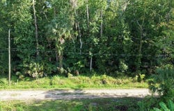GOBBLER Road, Astor, FL 32102