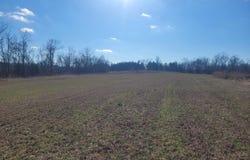 Hickory Flats Road, Ava, MO 65608