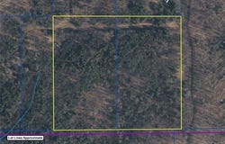 Putt Brook Road, Scio, NY 14880