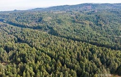 1155 Patricks Point Dr, Trinidad, CA 95570