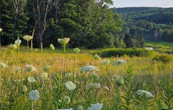 652 Ideuma Road, Unadilla, NY 13849
