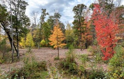 W10730 Sand Creek Court, Merrillan, WI 54754