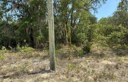DONOVAN Avenue, Interlachen, FL 32148