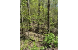 Garnet Rd lot: 18, Sylva, NC 28779
