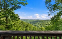 24709 Wolfe Road, Washburn, MO 65772