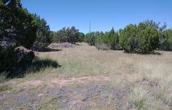 61 Spring Drive, Concho, AZ 85924
