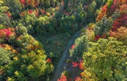 316 acres US 141 Highway, Covington, MI 49919