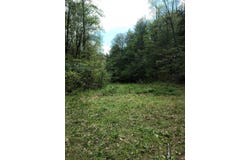 Cane Creek Mtn. Road, Tellico Plains, TN 37385