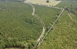 Buckhead Lane, Tract B, Jackson, AL 36545