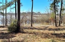 FM 83 lot: 005, Broaddus, TX 75929