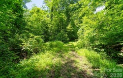 Indian Flats Drive, Sylva, NC 28779