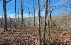 id 14 OVERLOOK DR, HOLLADAY, TN 38341