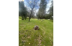 13095 Fox CT, Groveland, CA 95321