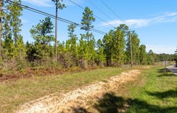 HWY 11, Purvis, MS 39475