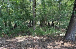 91 Burlison Ln, Humphrey, AR 72073
