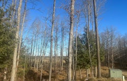 MUD LAKE RD, Florence, WI 54121