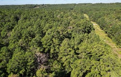 CR 1613, Jacksonville, TX 75766