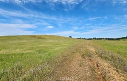 Daly, Palermo, CA 95966