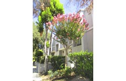 965 E Del Mar Boulevard, Pasadena, CA 91106