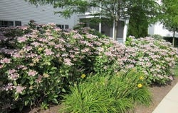 30611 CEDAR NECK Road, OCEAN VIEW, DE 19970