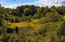E Pin Hook rd, sparta, TN 38583