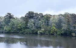 Hwy 45N, Plymouth, NC 29762