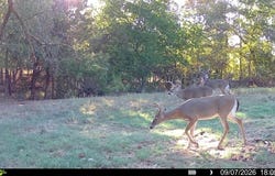 corinth rd, Ash Flat, AR 72513