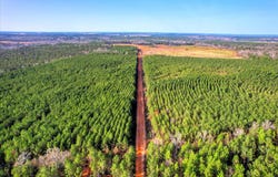 Old Thomson Road, Wrens, GA 30833