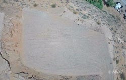 Cactus, Littlefield, AZ 86432
