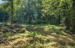 5201 Highway 150, Sequatchie, TN 37374