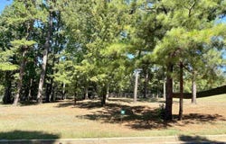 Easy St lot: 8, Frankston, TX 75763