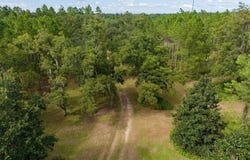 Lott Rd, Wacissa, FL 32344