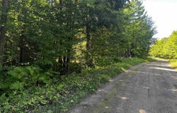 56 Acres Halverson Road, Skandia, MI 49885
