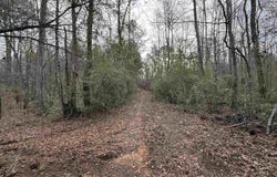 BEST ROAD, Simsboro, LA 71275-0000