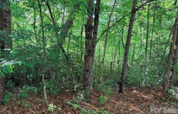 Mcdaniel Court, Lake Lure, NC 28746