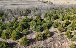 1300 FM 2675, Enloe, TX 75432