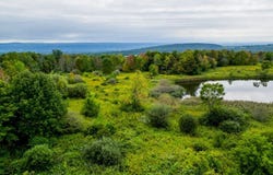 144 Louis Ridge rd, Frankfort, NY 13340
