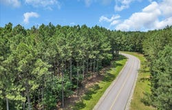 Moonlight Lane lot: Jf 424, Jasper, TN 37347