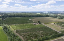 SE UPPER ISLAND Rd, Dayton, OR 97114
