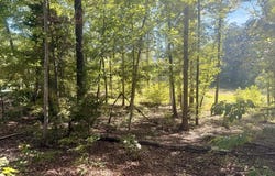 Watson Blvd lot: 12, Meherrin, VA 23954